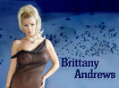 Brittany Andrews Thumbnail (2)