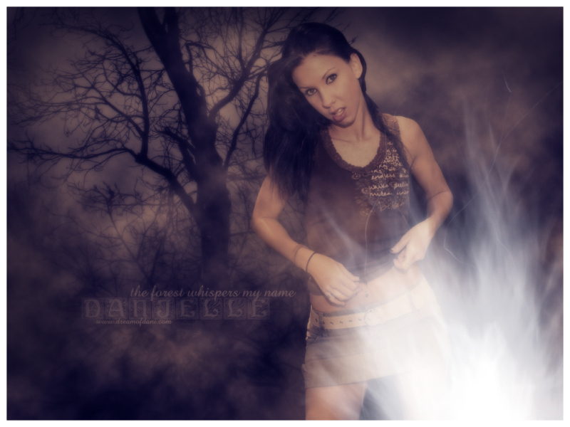 Dream Of Dani Wallpaper - 800x600