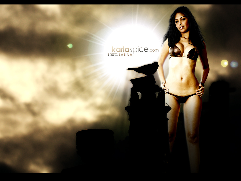 Karla Spice Wallpaper - 1024x768