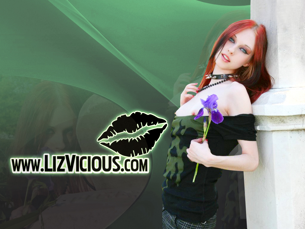 Liz Vicious Wallpaper - 1024x768